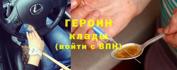 сатива Бородино