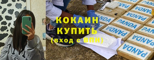 ГАЛЛЮЦИНОГЕННЫЕ ГРИБЫ Вязники