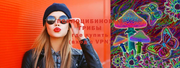 ГАЛЛЮЦИНОГЕННЫЕ ГРИБЫ Вязники