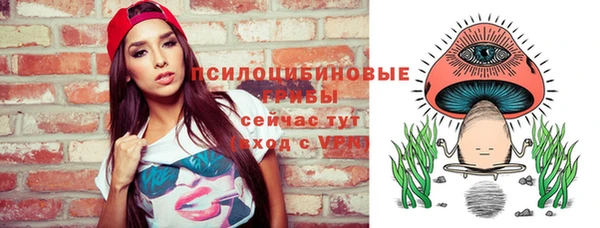 винт Вяземский